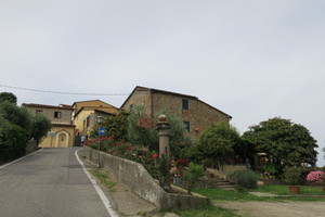 IMG_3223.JPG