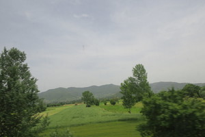 IMG_3353.JPG