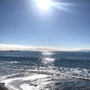 IMG_6170.jpeg