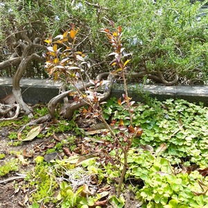 IMG_6859.jpeg