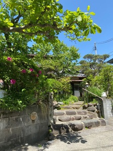 IMG_7236.jpeg