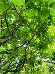 IMG_7865.jpeg