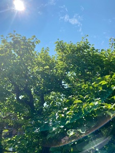 IMG_7872.jpeg