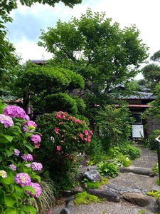 IMG_7933-caeb6.jpeg