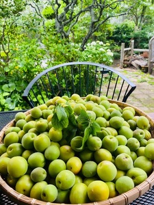 IMG_7948.jpeg