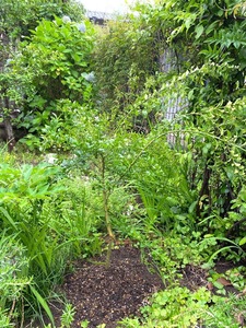 IMG_8013.jpeg